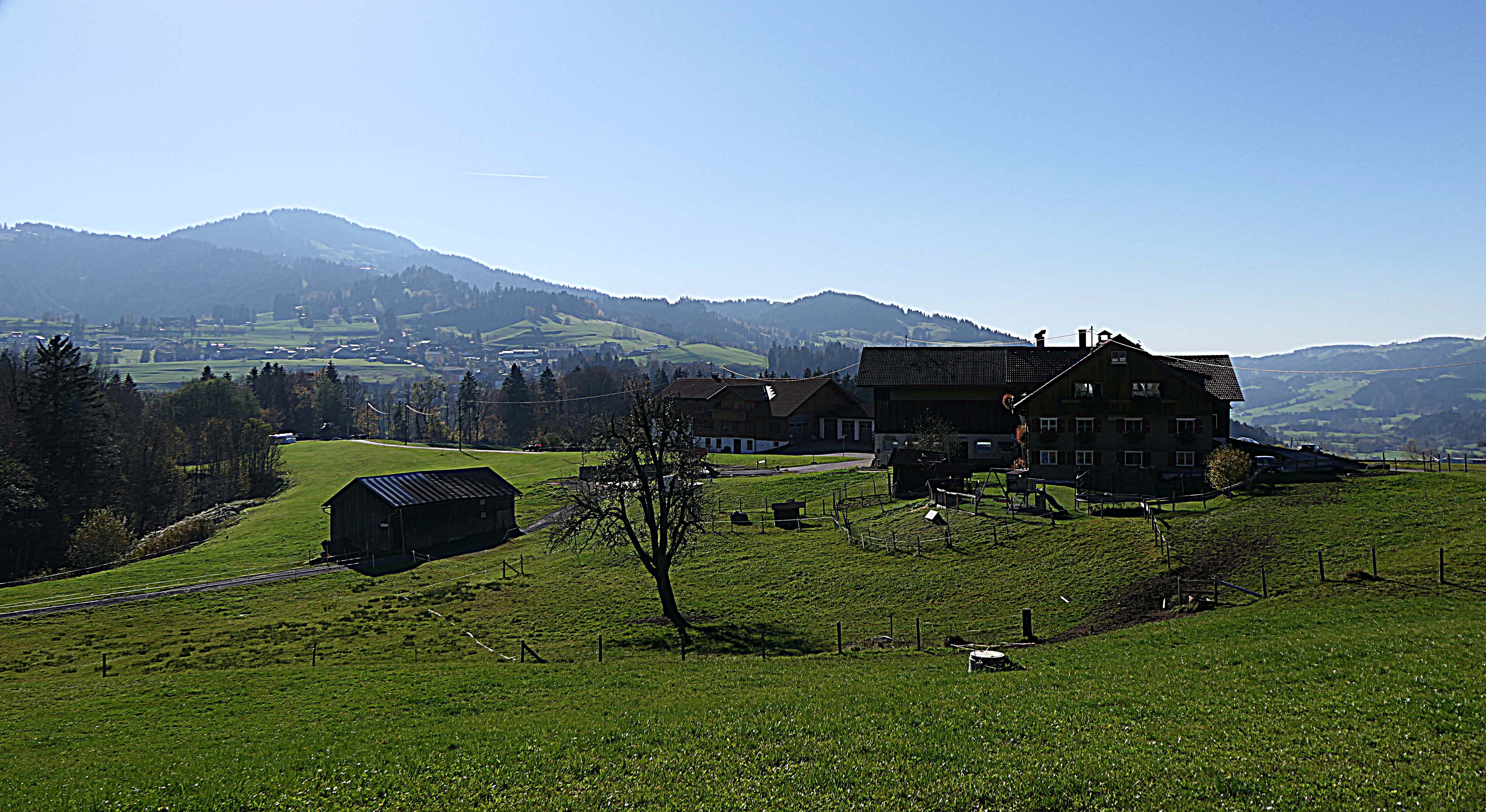 Allgäu-Landschaft bei Steibis
